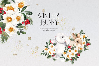 Winter Bunny. Symbol of the year.