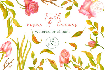 Watercolor Fall Roses and Leaves. Dry Autumn Flowers Clipart