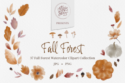 Fall Forest Watercolor Clipart Collection