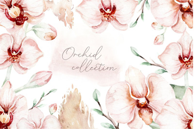 Orchid Watercolor Clipart PNG border frames and elements