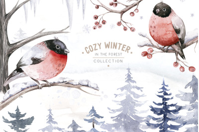 Snowy forest watercolor clipart set. Bullfinch, pine PNG elements