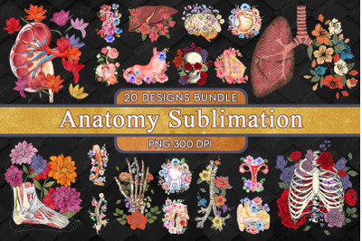 Anatomy T-shirt Design Bundle