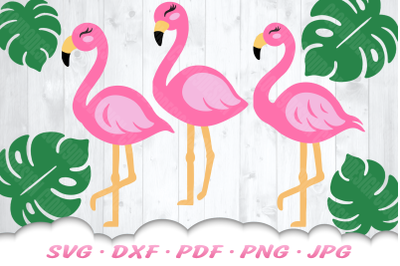 Flamingo SVG Bundle | Monstera Leaf SVG