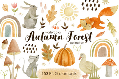 Watercolor autumn forest clipart
