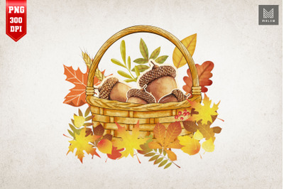 Autumn Leaves and Acorns Fall