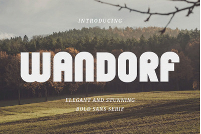 Wandorf - Elegant Bold Sans