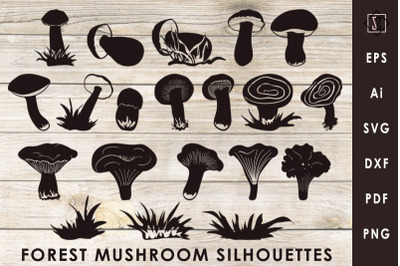 Bundle wild mushroom silhouettes / SVG