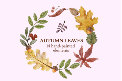 Autumn leaves png