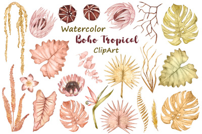 Watercolor Dry Tropical leaves, Boho floral tropical