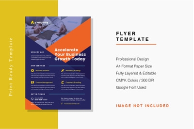 Professional Flyer Template