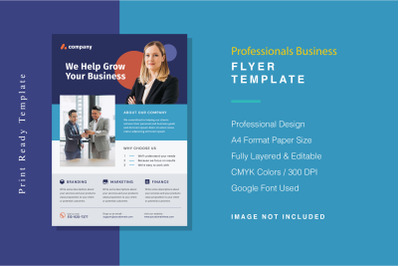 Professionals Business Flyer Template