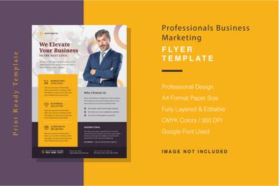 Professionals Business Marketing Flyer Template