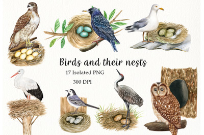 Watercolor Birds and their Nests Clipart. Hand Painted Birds Houses.