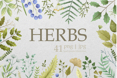 Hand painted herbs and spices