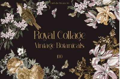 Royal Collage Vintage Botanicals