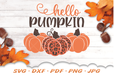 Hello Pumpkin SVG | Fall SVG | Leopard Print SVG