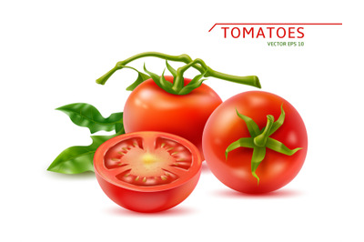 Realistic tomatoes in simple composition. Whole red vegetables and hal