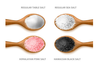 Realistic salt types. Cooking crystals and powder, different sea natur