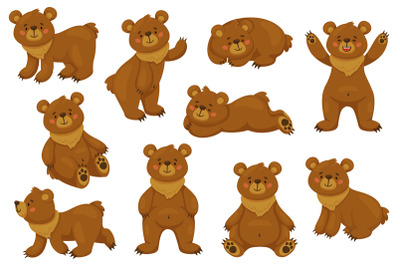 Cartoon brown bear. Funny animal in different poses, sitting lying and