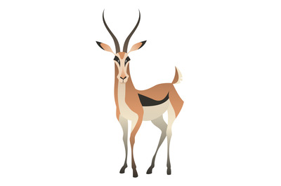 Antelope standing. Wild gazelle. Long horns animal