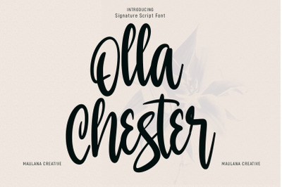 Olla Chester Script Font