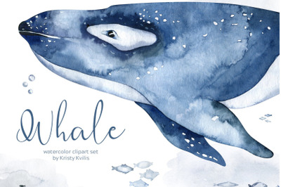 Watercolor whale &amp; killer whale clipart set. Ocean animals PNG