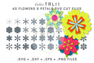 6 PETAL FLOWERS SVG CUT FILES