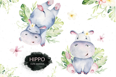 Baby hippo Animals Clipart Illustrations Tropic Jungle Safari Africa