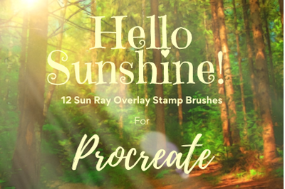 Procreate Sun Rays Stamp Overlay Brushes