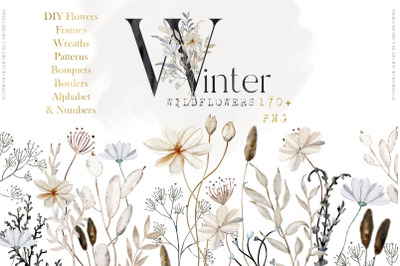 Winter Wildflowers Watercolors