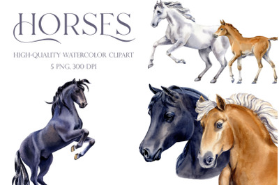 Watercolor horses clipart, Horse Digital art