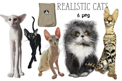 Realistic Cats