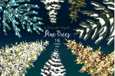 Watercolor Christmas Tree clipart, Pine tree PNG, Winter Forest Clipar