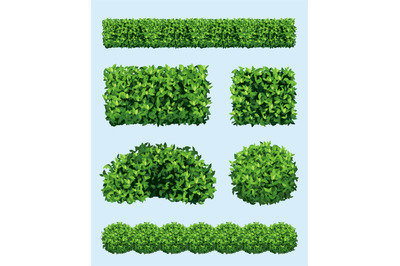 Green shrub. Realistic garden plants different geometric forms ornamen