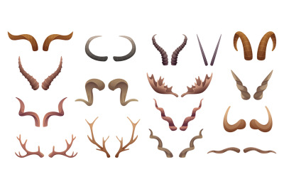 Horns collection. Buffalo rams sheep animal head anatomic parts exact