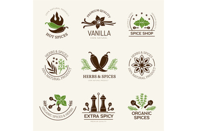 Spices labels. Herbs natural aroma kitchen healthy ingredients from le