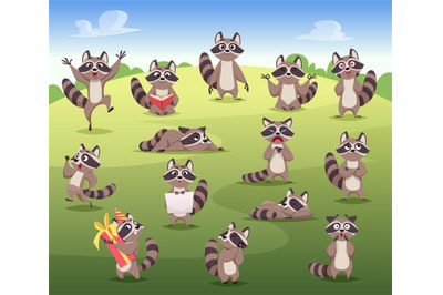 Raccoon. Cartoon wild animal in action poses mammals posing standing j