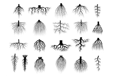 Root plants. Botanical symbols root systems from creep trees recent ve