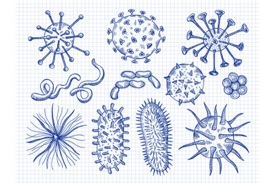 Sketch viruses. Covid bacteria microbiology cell danger biological dis