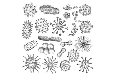 Bacteria sketch. Drawing viruses biological closeup cells covid type o