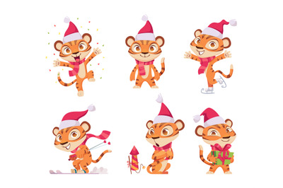 New year tiger. Wild cute animal in action poses tiger in red winter c