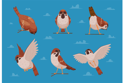 Sparrows. Cartoon funny birds in various poses chirp characters nature