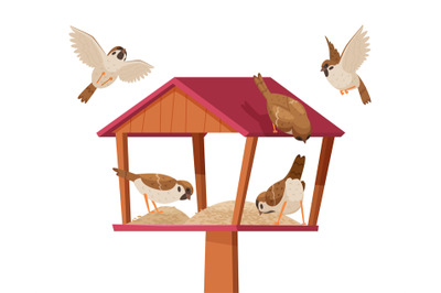 Sparrows in birdhouse. Chirp birds characters flying and eating crumbs