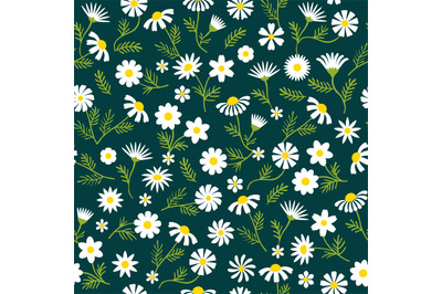 Chamomile pattern. Decorative flowers illustration for textile design