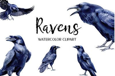 Ravens watercolor clipart, sublimation graphics png