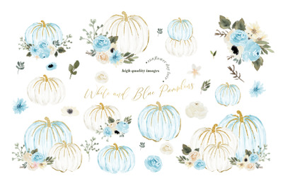 Blue and White Pumpkin Clipart, White Blue Flowers
