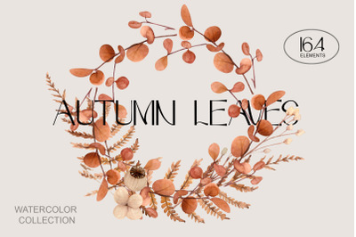 Autumn Leaves Watercolor Set
