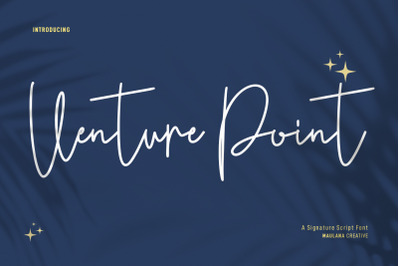 Venture Point Script Font