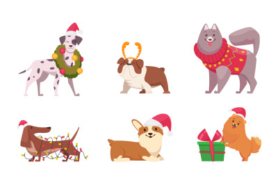 Christmas dogs. Funny domestic animals puppy in sweater and scarf prep