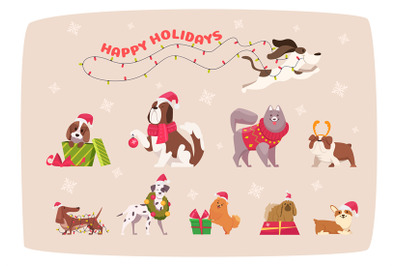 Funny christmas dogs. Cute puppy in winter clothes animals in scarf an